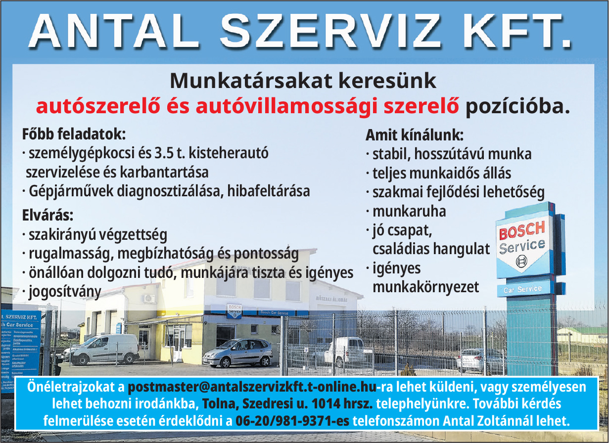 Antal szerviz